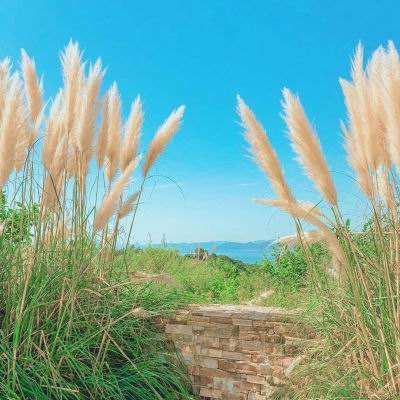 购彩中心welcome入口官方版手机app下载