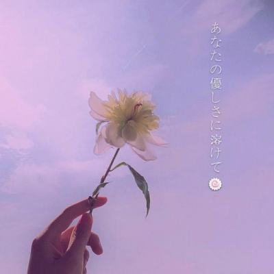 乐彩彩票welcome下载手机版